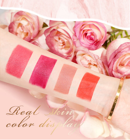 MLSMILE 4-Color Rose Marble Lipstick Set